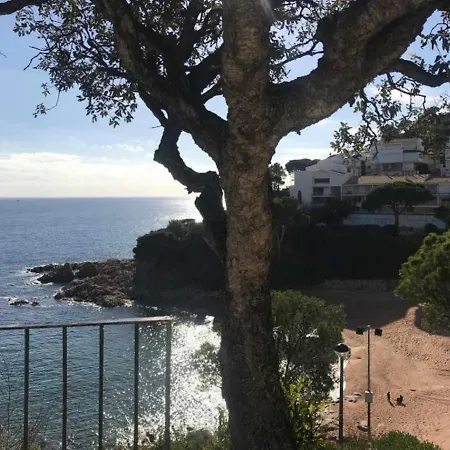 Apartamento Cala Salionc Playa Frente A La Playa